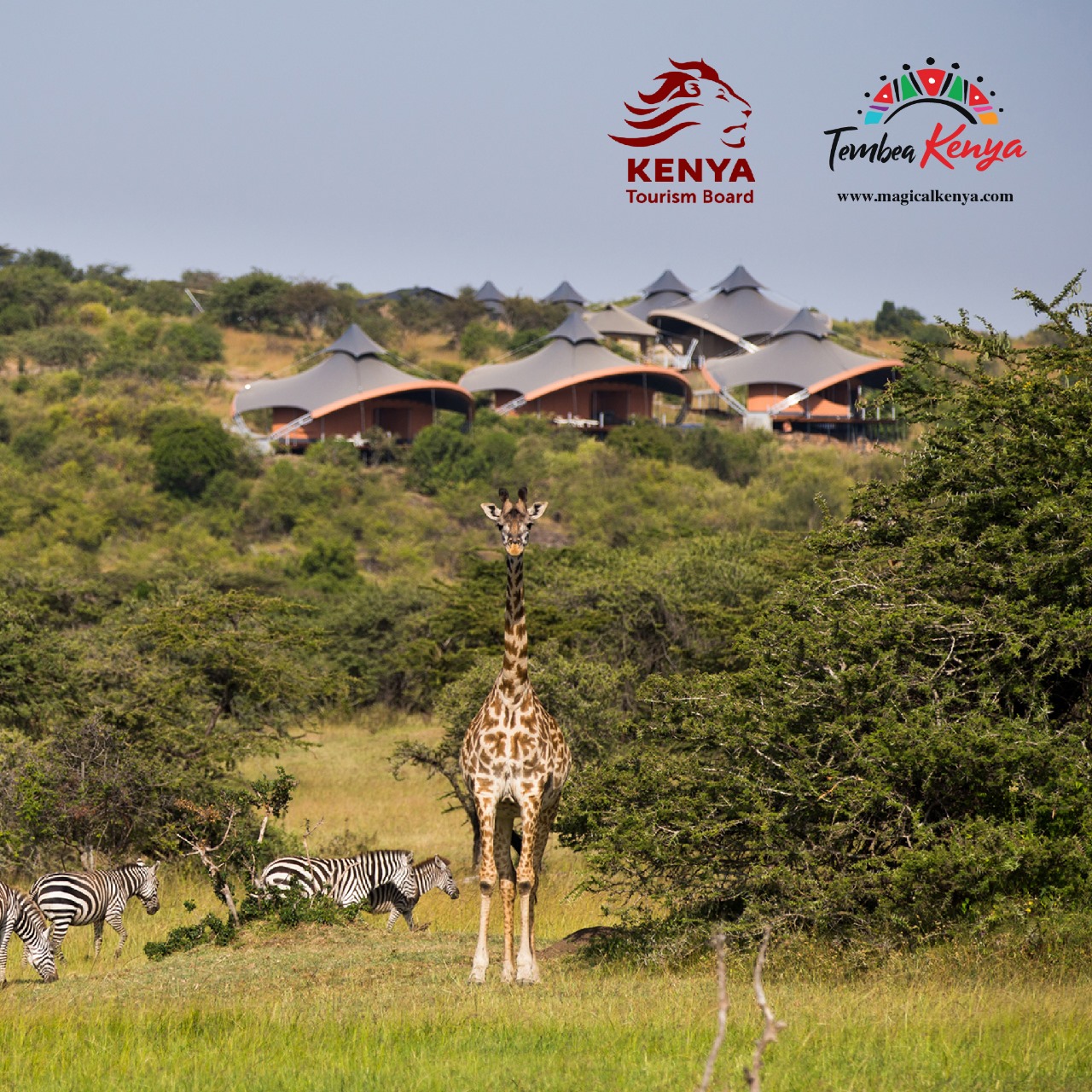 WhatsApp Image 2025-08-29 at 16.07.56 (1)