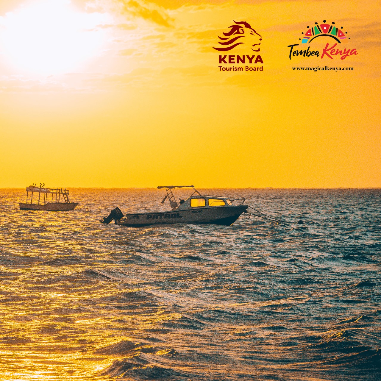 WhatsApp Image 2025-08-29 at 16.07.56