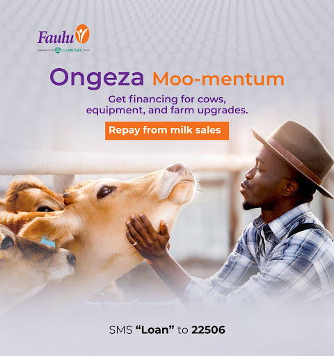 WhatsApp Image 2026-04-05 at 15.14.06dsda